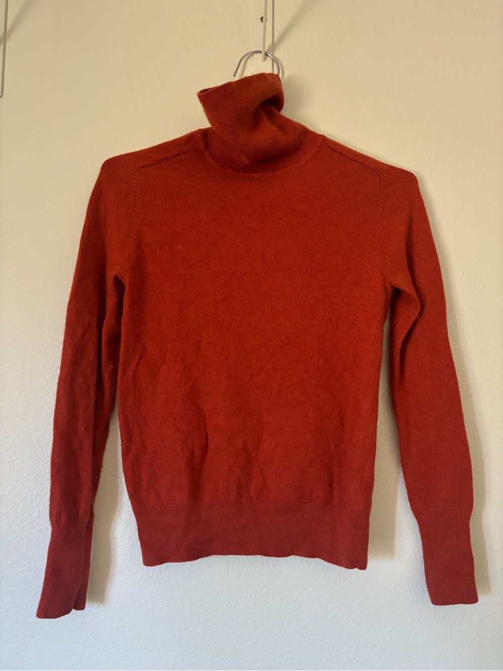 Everlane Burnt Orange Turtleneck Cashmere Sweater